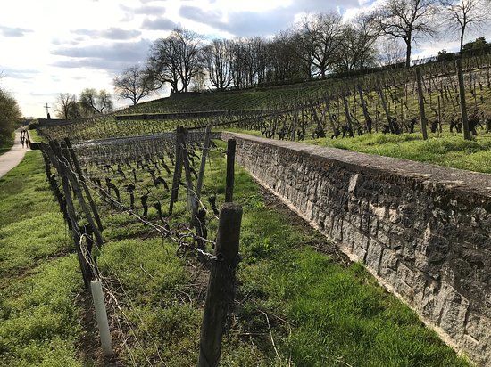 MainAppelHaus Lohrberg Streuobstzentrum e.V